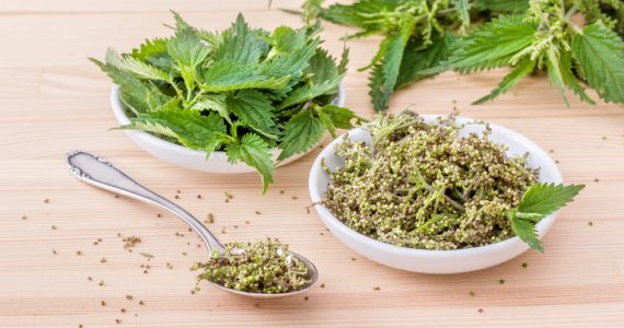 Nettle leaves and dried seeds