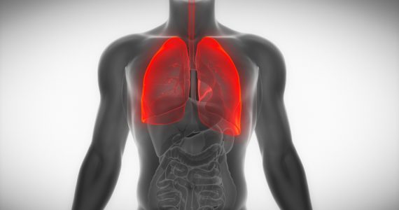 Body outline highlighting the lungs to represent COPD